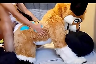 FreyaShibe - Doggy Fun