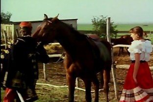 Josefines Zuhaelter (Starlight-Film M 8) 32 min