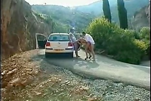 Hitchhiking Sex