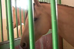 Cute masturbating horse rider