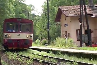 Hard anal outdoor fuck NL-12-04